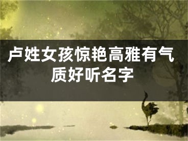 卢姓女孩惊艳高雅有气质好听名字