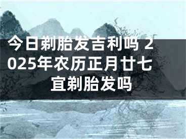 今日剃胎发吉利吗 2025年农历正月廿七宜剃胎发吗