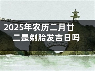 2025年农历二月廿二是剃胎发吉日吗