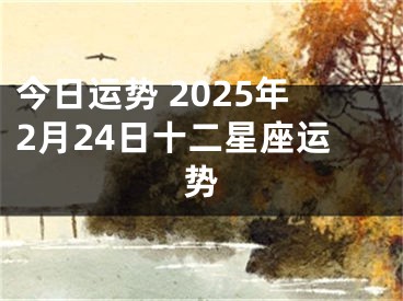 今日运势 2025年2月24日十二星座运势