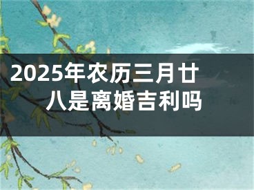 2025年农历三月廿八是离婚吉利吗