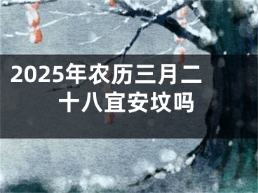 2025年农历三月二十八宜安坟吗