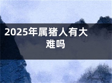 2025年属猪人有大难吗
