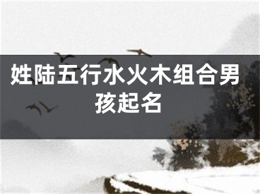 姓陆五行水火木组合男孩起名