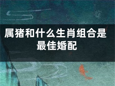 属猪和什么生肖组合是最佳婚配