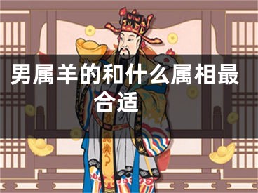 男属羊的和什么属相最合适 