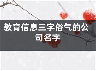 教育信息三字俗气的公司名字