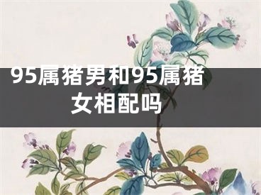 95属猪男和95属猪女相配吗 