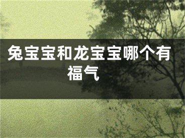 兔宝宝和龙宝宝哪个有福气 