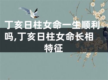 丁亥日柱女命一生顺利吗,丁亥日柱女命长相特征