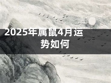 2025年属鼠4月运势如何