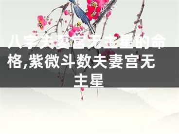 八字夫妻宫无主星的命格,紫微斗数夫妻宫无主星