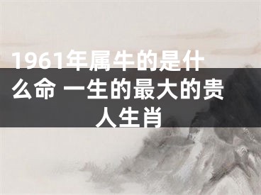 1961年属牛的是什么命 一生的最大的贵人生肖
