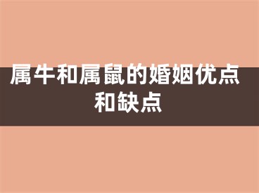 属牛和属鼠的婚姻优点和缺点