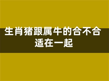 生肖猪跟属牛的合不合适在一起
