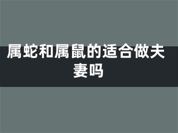 属蛇和属鼠的适合做夫妻吗