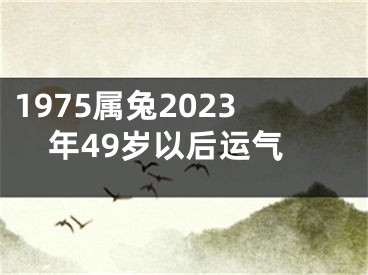 1975属兔2023年49岁以后运气