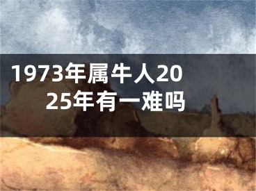 1973年属牛人2025年有一难吗
