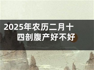 2025年农历二月十四剖腹产好不好