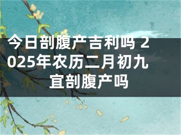 今日剖腹产吉利吗 2025年农历二月初九宜剖腹产吗