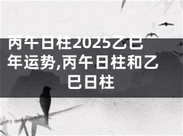丙午日柱2025乙巳年运势,丙午日柱和乙巳日柱