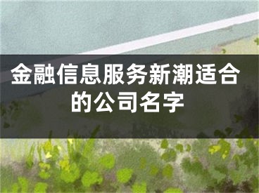 金融信息服务新潮适合的公司名字
