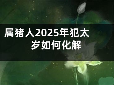 属猪人2025年犯太岁如何化解