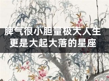 脾气很小胆量极大人生更是大起大落的星座