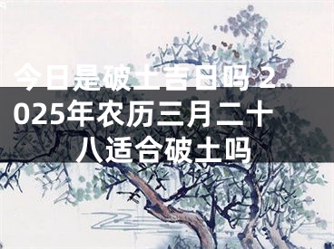今日是破土吉日吗 2025年农历三月二十八适合破土吗