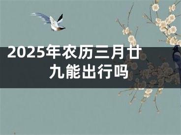 2025年农历三月廿九能出行吗