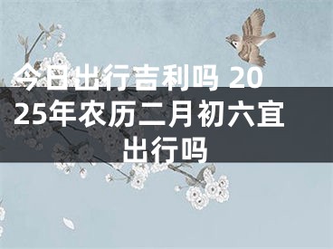 今日出行吉利吗 2025年农历二月初六宜出行吗