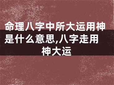 命理八字中所大运用神是什么意思,八字走用神大运