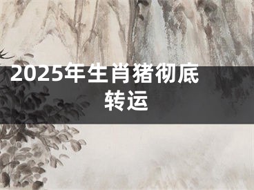 2025年生肖猪彻底转运