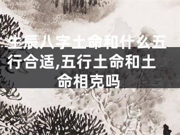 生辰八字土命和什么五行合适,五行土命和土命相克吗