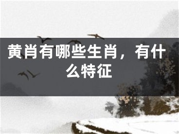 黄肖有哪些生肖，有什么特征
