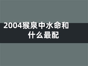 2004猴泉中水命和什么最配