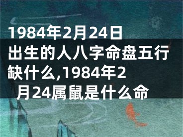 1984年2月24日出生的人八字命盘五行缺什么,1984年2月24属鼠是什么命