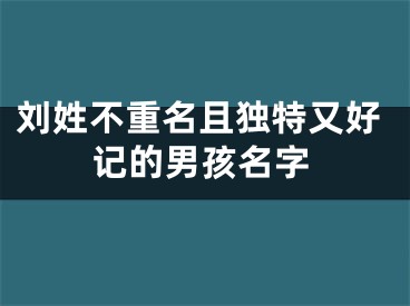 刘姓不重名且独特又好记的男孩名字