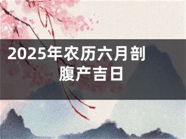 2025年农历六月剖腹产吉日