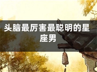 头脑最厉害最聪明的星座男