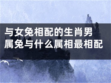 与女兔相配的生肖男 属兔与什么属相最相配