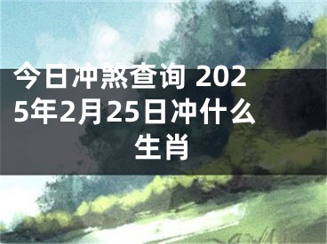 今日冲煞查询 2025年2月25日冲什么生肖