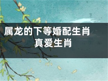 属龙的下等婚配生肖 真爱生肖