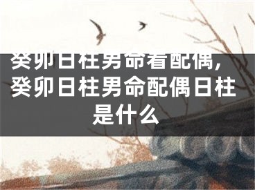 癸卯日柱男命看配偶,癸卯日柱男命配偶日柱是什么