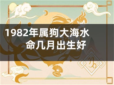 1982年属狗大海水命几月出生好