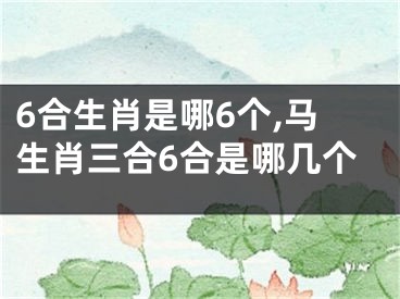 6合生肖是哪6个,马生肖三合6合是哪几个