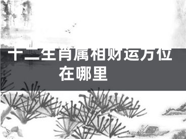 十二生肖属相财运方位在哪里 