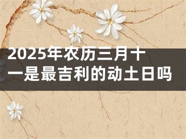 2025年农历三月十一是最吉利的动土日吗