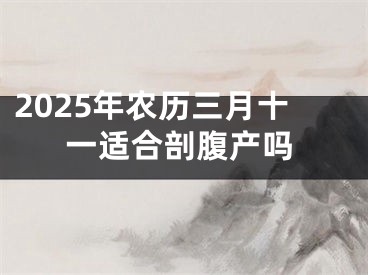 2025年农历三月十一适合剖腹产吗