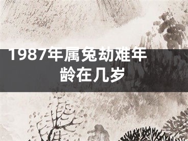1987年属兔劫难年龄在几岁